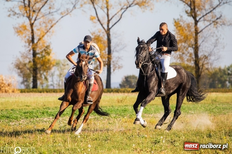 Zdjęcie w galerii na portalu naszraciborz.pl: Przez lasy, pola i łąki na pogoń za lisem. Hubertus w Żerdzinach 2018 VIDEO wiadomości z regionu