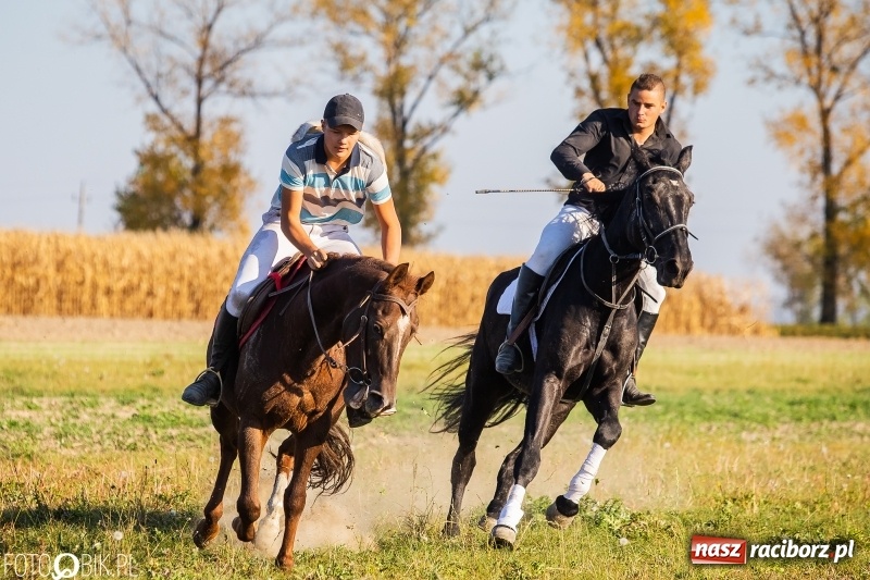 Zdjęcie w galerii na portalu naszraciborz.pl: Przez lasy, pola i łąki na pogoń za lisem. Hubertus w Żerdzinach 2018 VIDEO wiadomości z regionu