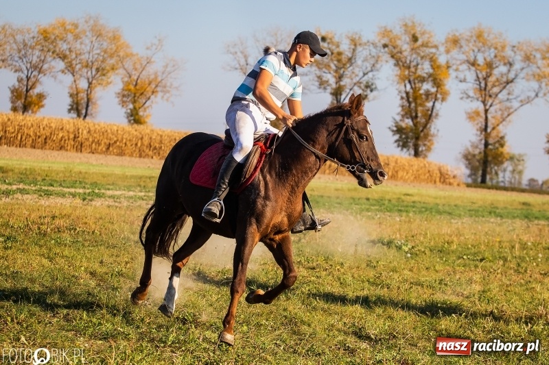 Zdjęcie w galerii na portalu naszraciborz.pl: Przez lasy, pola i łąki na pogoń za lisem. Hubertus w Żerdzinach 2018 VIDEO wiadomości z regionu