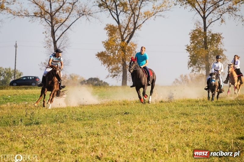 Zdjęcie w galerii na portalu naszraciborz.pl: Przez lasy, pola i łąki na pogoń za lisem. Hubertus w Żerdzinach 2018 VIDEO wiadomości z regionu