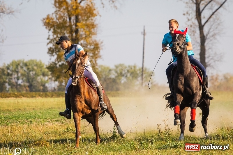 Zdjęcie w galerii na portalu naszraciborz.pl: Przez lasy, pola i łąki na pogoń za lisem. Hubertus w Żerdzinach 2018 VIDEO wiadomości z regionu