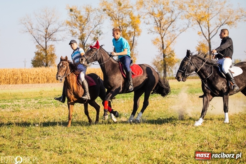 Zdjęcie w galerii na portalu naszraciborz.pl: Przez lasy, pola i łąki na pogoń za lisem. Hubertus w Żerdzinach 2018 VIDEO wiadomości z regionu
