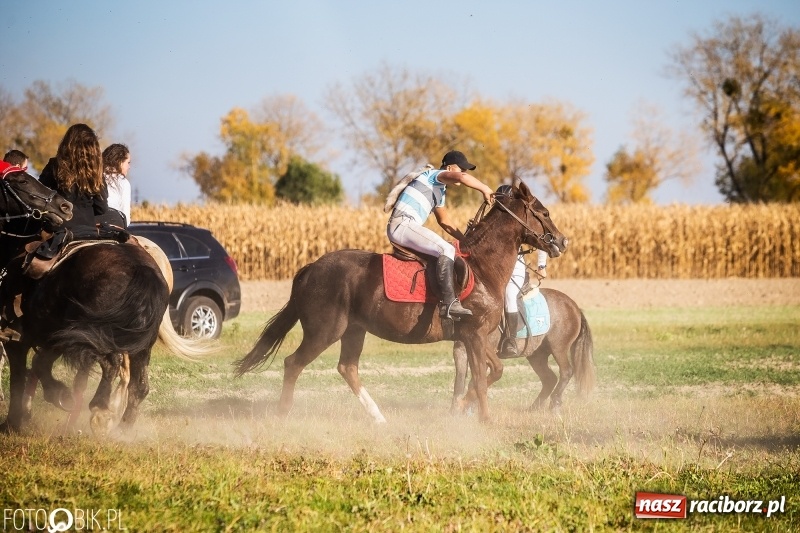 Zdjęcie w galerii na portalu naszraciborz.pl: Przez lasy, pola i łąki na pogoń za lisem. Hubertus w Żerdzinach 2018 VIDEO wiadomości z regionu