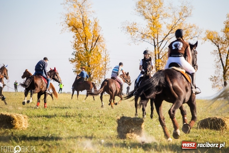 Zdjęcie w galerii na portalu naszraciborz.pl: Przez lasy, pola i łąki na pogoń za lisem. Hubertus w Żerdzinach 2018 VIDEO wiadomości z regionu