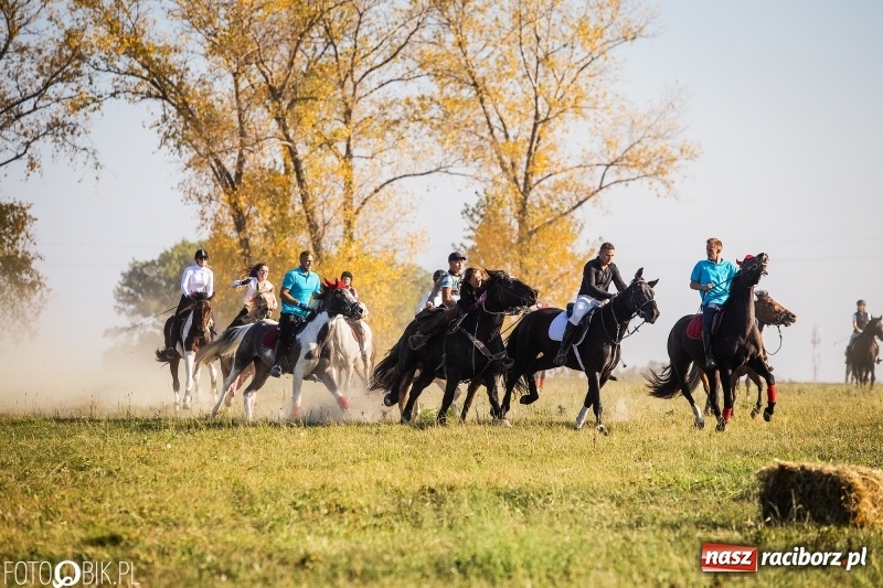 Zdjęcie w galerii na portalu naszraciborz.pl: Przez lasy, pola i łąki na pogoń za lisem. Hubertus w Żerdzinach 2018 VIDEO wiadomości z regionu