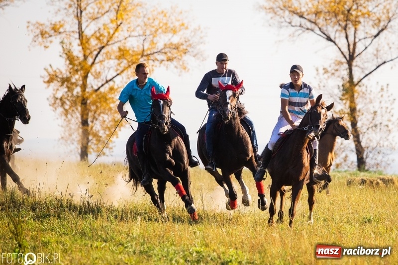 Zdjęcie w galerii na portalu naszraciborz.pl: Przez lasy, pola i łąki na pogoń za lisem. Hubertus w Żerdzinach 2018 VIDEO wiadomości z regionu