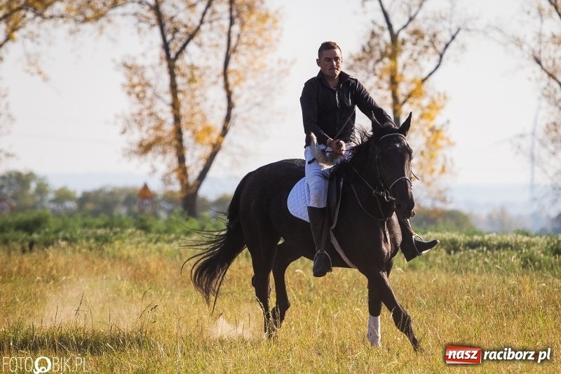 Zdjęcie w galerii na portalu naszraciborz.pl: Przez lasy, pola i łąki na pogoń za lisem. Hubertus w Żerdzinach 2018 VIDEO wiadomości z regionu