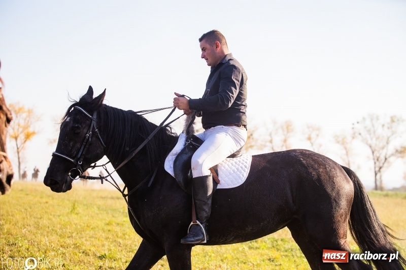 Zdjęcie w galerii na portalu naszraciborz.pl: Przez lasy, pola i łąki na pogoń za lisem. Hubertus w Żerdzinach 2018 VIDEO wiadomości z regionu