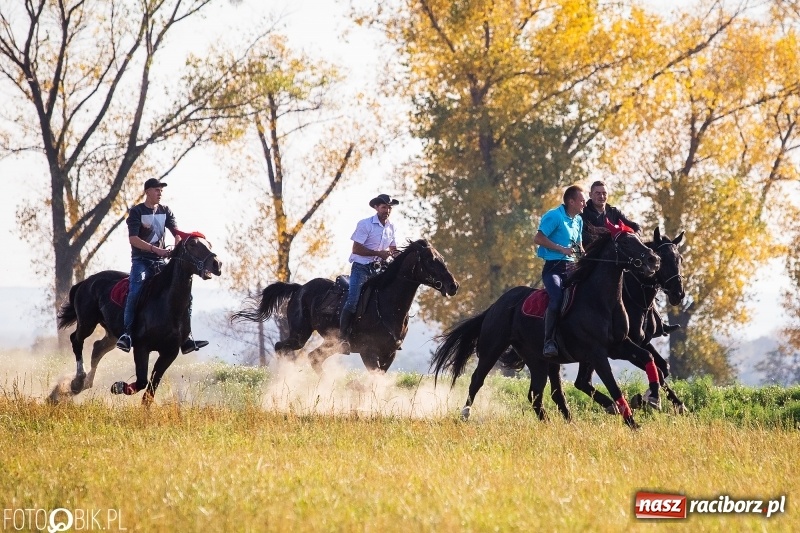 Zdjęcie w galerii na portalu naszraciborz.pl: Przez lasy, pola i łąki na pogoń za lisem. Hubertus w Żerdzinach 2018 VIDEO wiadomości z regionu