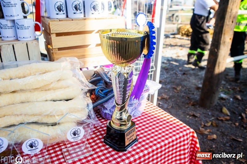 Zdjęcie w galerii na portalu naszraciborz.pl: Przez lasy, pola i łąki na pogoń za lisem. Hubertus w Żerdzinach 2018 VIDEO wiadomości z regionu