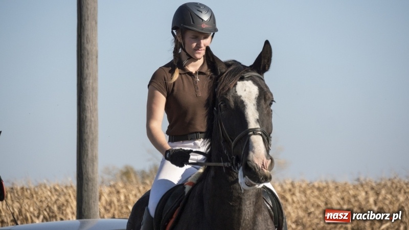 Zdjęcie w galerii na portalu naszraciborz.pl: Przez lasy, pola i łąki na pogoń za lisem. Hubertus w Żerdzinach 2018 VIDEO wiadomości z regionu