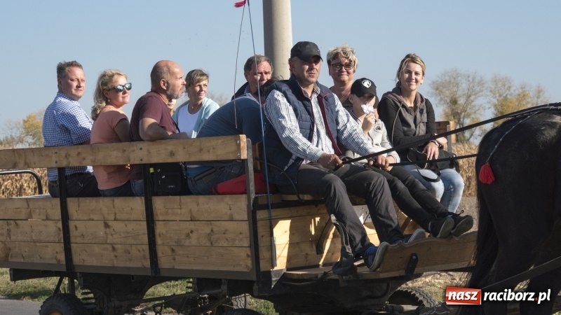 Zdjęcie w galerii na portalu naszraciborz.pl: Przez lasy, pola i łąki na pogoń za lisem. Hubertus w Żerdzinach 2018 VIDEO wiadomości z regionu