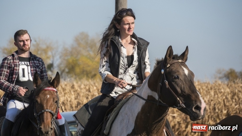 Zdjęcie w galerii na portalu naszraciborz.pl: Przez lasy, pola i łąki na pogoń za lisem. Hubertus w Żerdzinach 2018 VIDEO wiadomości z regionu
