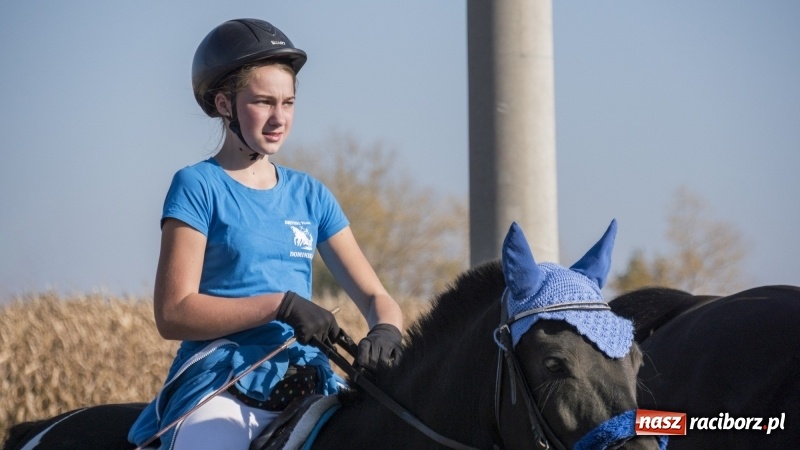Zdjęcie w galerii na portalu naszraciborz.pl: Przez lasy, pola i łąki na pogoń za lisem. Hubertus w Żerdzinach 2018 VIDEO wiadomości z regionu