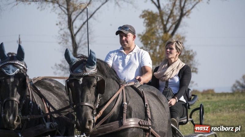 Zdjęcie w galerii na portalu naszraciborz.pl: Przez lasy, pola i łąki na pogoń za lisem. Hubertus w Żerdzinach 2018 VIDEO wiadomości z regionu