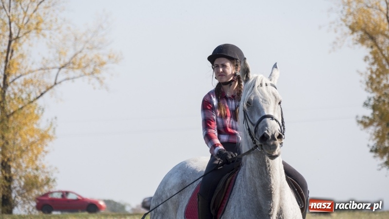 Zdjęcie w galerii na portalu naszraciborz.pl: Przez lasy, pola i łąki na pogoń za lisem. Hubertus w Żerdzinach 2018 VIDEO wiadomości z regionu