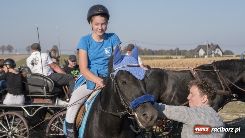 Zdjęcie w galerii na portalu naszraciborz.pl: Przez lasy, pola i łąki na pogoń za lisem. Hubertus w Żerdzinach 2018 VIDEO wiadomości z regionu