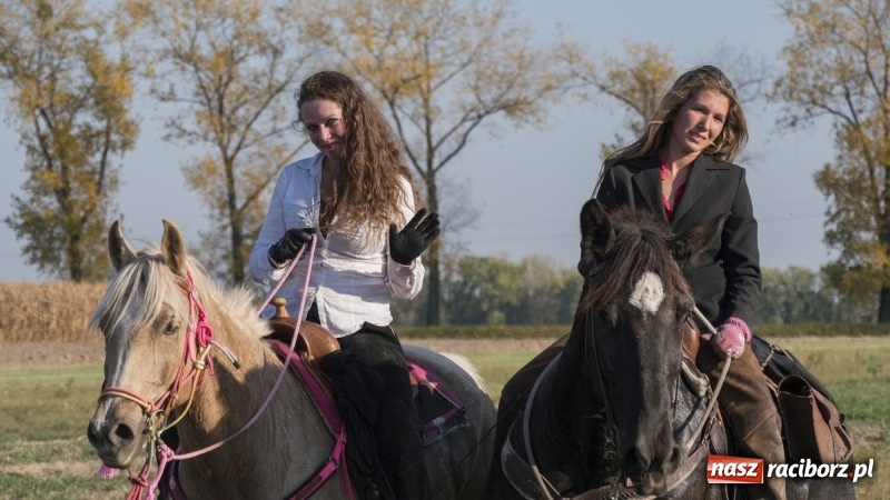 Zdjęcie w galerii na portalu naszraciborz.pl: Przez lasy, pola i łąki na pogoń za lisem. Hubertus w Żerdzinach 2018 VIDEO wiadomości z regionu
