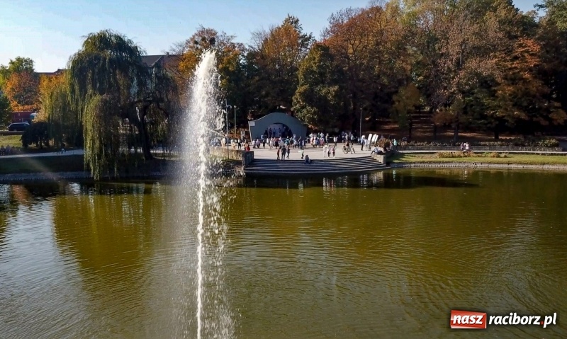 Zdjęcie w galerii na portalu naszraciborz.pl: TAK. Roberta Myśliwego zadbało o jeden ważny szczegół! Lider stawia wszystko na jedną kartę wiadomości z regionu