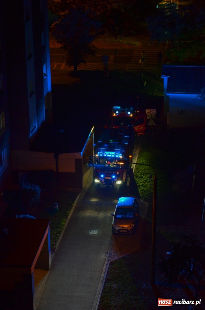 Zdjęcie w galerii na portalu naszraciborz.pl: Zdarzenia drogowe, pożary śmietników i fałszywy alarm na Katowickiej, czyli weekendowy raport strażaków wiadomości z regionu