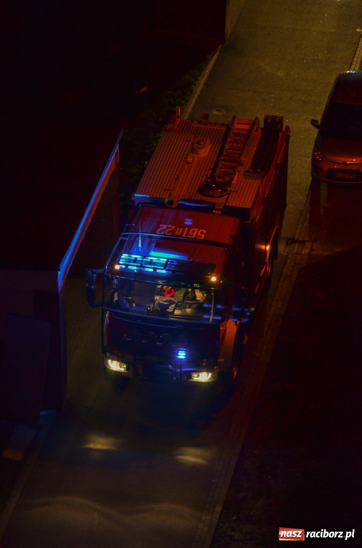 Zdjęcie w galerii na portalu naszraciborz.pl: Zdarzenia drogowe, pożary śmietników i fałszywy alarm na Katowickiej, czyli weekendowy raport strażaków wiadomości z regionu