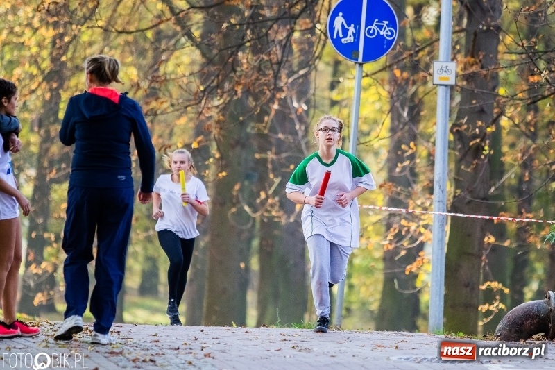 Zdjęcie w galerii na portalu naszraciborz.pl: Uczniowie SP 15 i SP 18 najlepsi w finale miejskim biegów przełajowych wiadomości z regionu