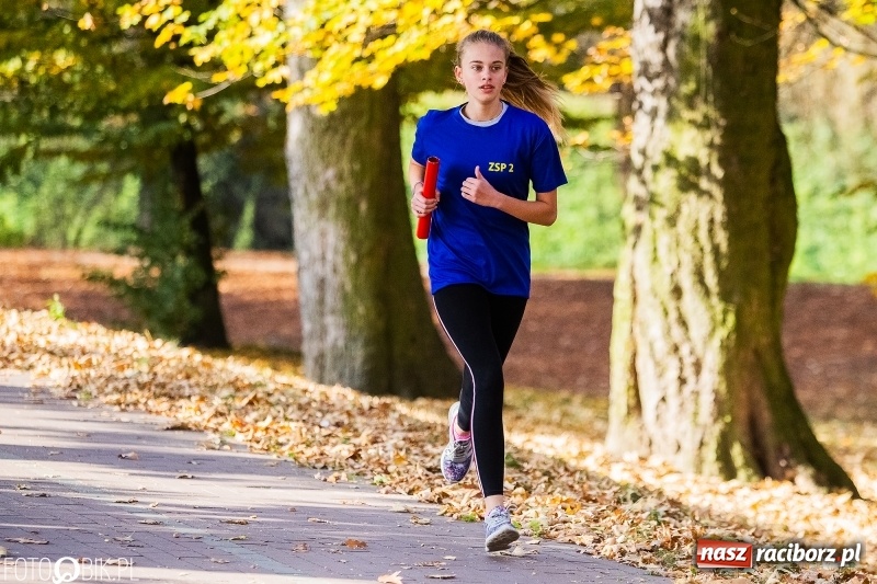 Zdjęcie w galerii na portalu naszraciborz.pl: Uczniowie SP 15 i SP 18 najlepsi w finale miejskim biegów przełajowych wiadomości z regionu