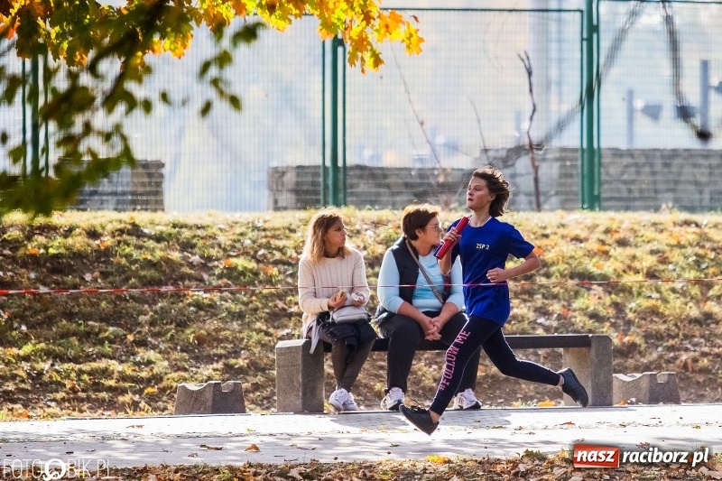Zdjęcie w galerii na portalu naszraciborz.pl: Uczniowie SP 15 i SP 18 najlepsi w finale miejskim biegów przełajowych wiadomości z regionu