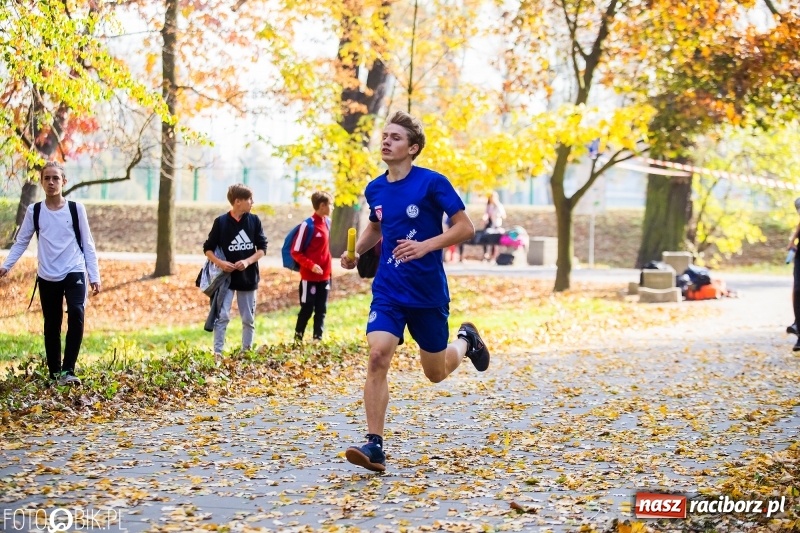 Zdjęcie w galerii na portalu naszraciborz.pl: Uczniowie SP 15 i SP 18 najlepsi w finale miejskim biegów przełajowych wiadomości z regionu