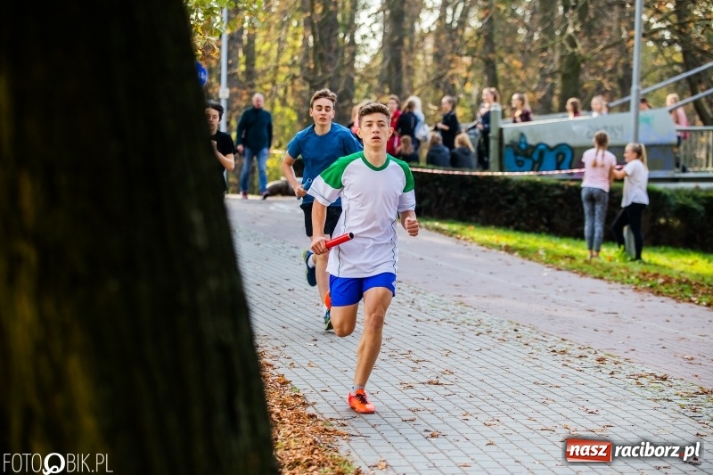 Zdjęcie w galerii na portalu naszraciborz.pl: Uczniowie SP 15 i SP 18 najlepsi w finale miejskim biegów przełajowych wiadomości z regionu