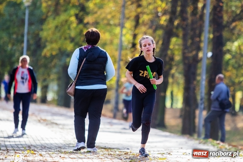 Zdjęcie w galerii na portalu naszraciborz.pl: Uczniowie SP 15 i SP 18 najlepsi w finale miejskim biegów przełajowych wiadomości z regionu
