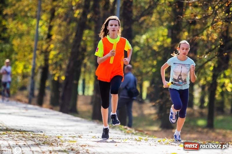 Zdjęcie w galerii na portalu naszraciborz.pl: Uczniowie SP 15 i SP 18 najlepsi w finale miejskim biegów przełajowych wiadomości z regionu