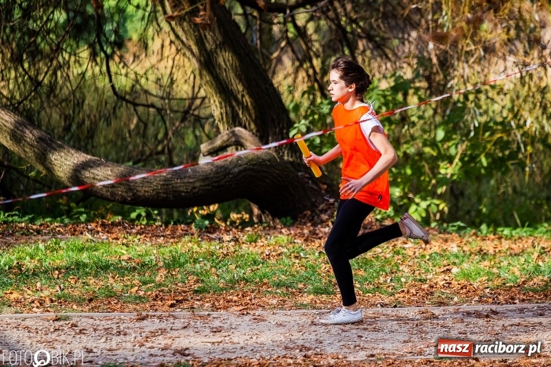 Zdjęcie w galerii na portalu naszraciborz.pl: Uczniowie SP 15 i SP 18 najlepsi w finale miejskim biegów przełajowych wiadomości z regionu