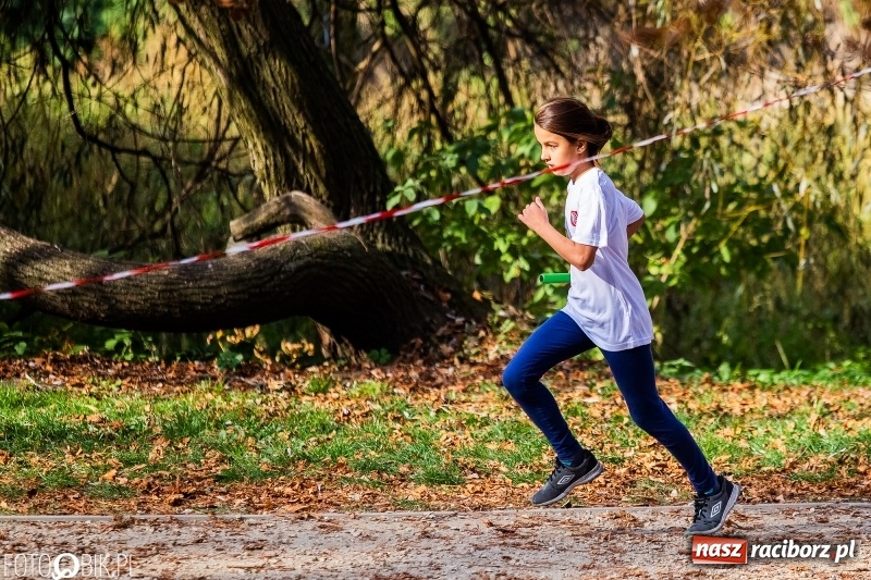 Zdjęcie w galerii na portalu naszraciborz.pl: Uczniowie SP 15 i SP 18 najlepsi w finale miejskim biegów przełajowych wiadomości z regionu