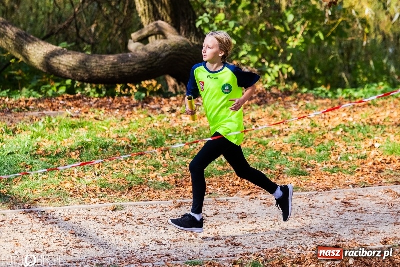 Zdjęcie w galerii na portalu naszraciborz.pl: Uczniowie SP 15 i SP 18 najlepsi w finale miejskim biegów przełajowych wiadomości z regionu