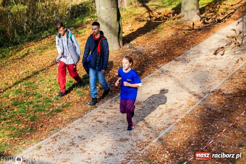 Zdjęcie w galerii na portalu naszraciborz.pl: Uczniowie SP 15 i SP 18 najlepsi w finale miejskim biegów przełajowych wiadomości z regionu