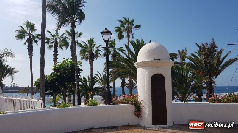 Zdjęcie w galerii na portalu naszraciborz.pl: Uczniowie raciborskiego Gastronomika poznają tajniki kuchni hiszpańskiej wiadomości z regionu