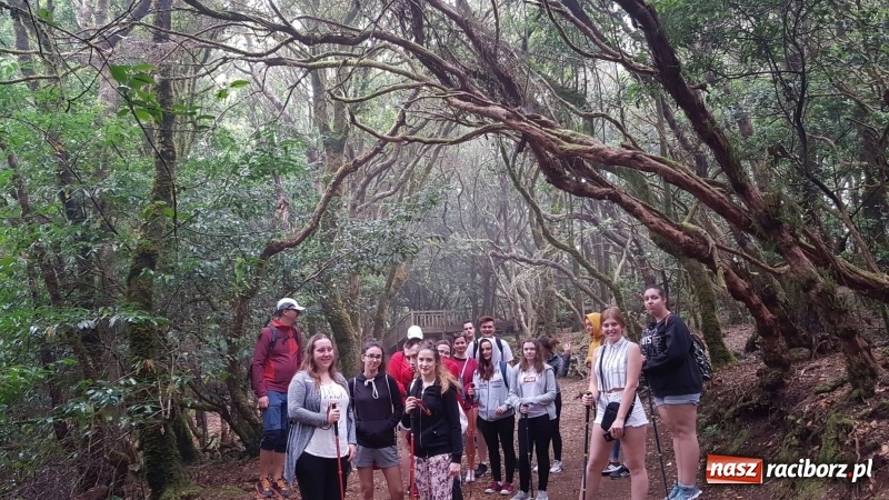 Zdjęcie w galerii na portalu naszraciborz.pl: Uczniowie raciborskiego Gastronomika poznają tajniki kuchni hiszpańskiej wiadomości z regionu