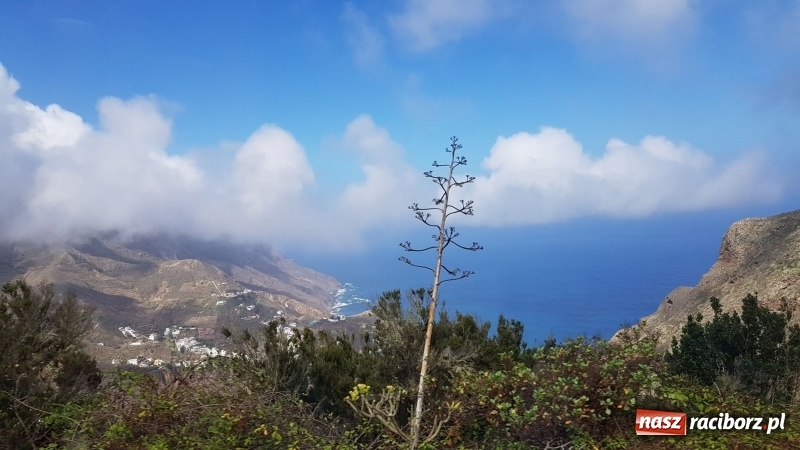 Zdjęcie w galerii na portalu naszraciborz.pl: Uczniowie raciborskiego Gastronomika poznają tajniki kuchni hiszpańskiej wiadomości z regionu
