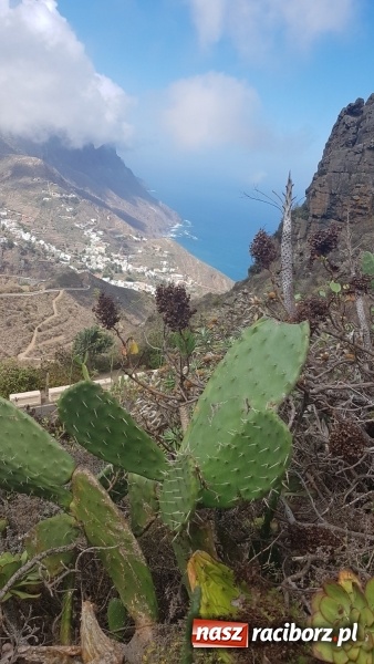 Zdjęcie w galerii na portalu naszraciborz.pl: Uczniowie raciborskiego Gastronomika poznają tajniki kuchni hiszpańskiej wiadomości z regionu