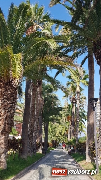 Zdjęcie w galerii na portalu naszraciborz.pl: Uczniowie raciborskiego Gastronomika poznają tajniki kuchni hiszpańskiej wiadomości z regionu