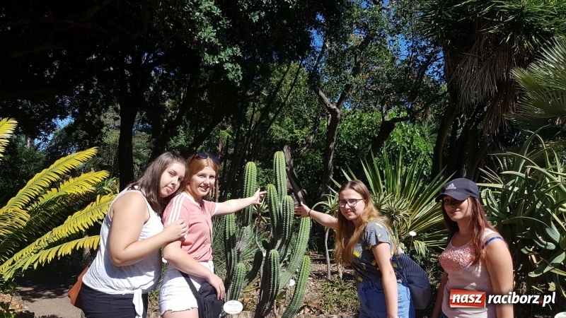 Zdjęcie w galerii na portalu naszraciborz.pl: Uczniowie raciborskiego Gastronomika poznają tajniki kuchni hiszpańskiej wiadomości z regionu