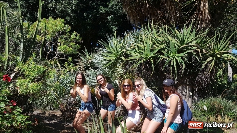 Zdjęcie w galerii na portalu naszraciborz.pl: Uczniowie raciborskiego Gastronomika poznają tajniki kuchni hiszpańskiej wiadomości z regionu