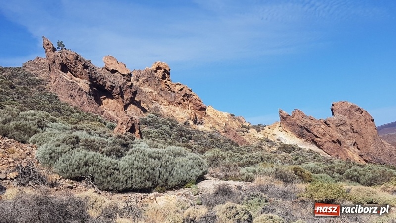 Zdjęcie w galerii na portalu naszraciborz.pl: Uczniowie raciborskiego Gastronomika poznają tajniki kuchni hiszpańskiej wiadomości z regionu