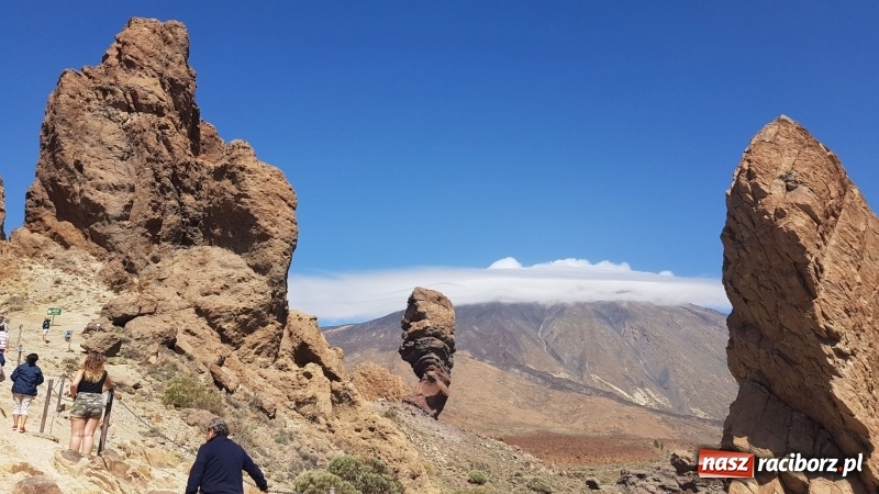 Zdjęcie w galerii na portalu naszraciborz.pl: Uczniowie raciborskiego Gastronomika poznają tajniki kuchni hiszpańskiej wiadomości z regionu