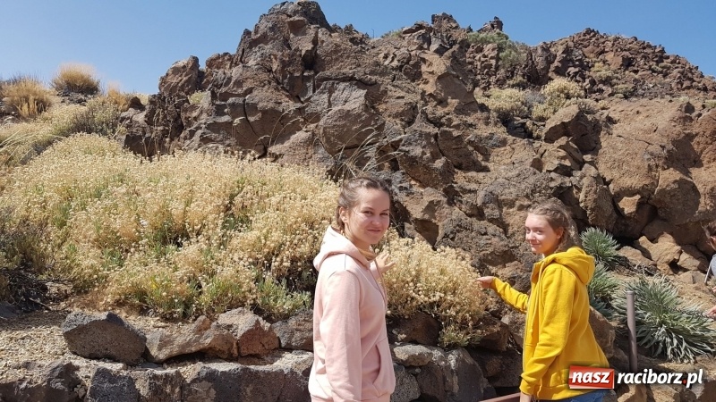 Zdjęcie w galerii na portalu naszraciborz.pl: Uczniowie raciborskiego Gastronomika poznają tajniki kuchni hiszpańskiej wiadomości z regionu