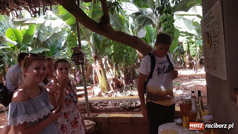 Zdjęcie w galerii na portalu naszraciborz.pl: Uczniowie raciborskiego Gastronomika poznają tajniki kuchni hiszpańskiej wiadomości z regionu