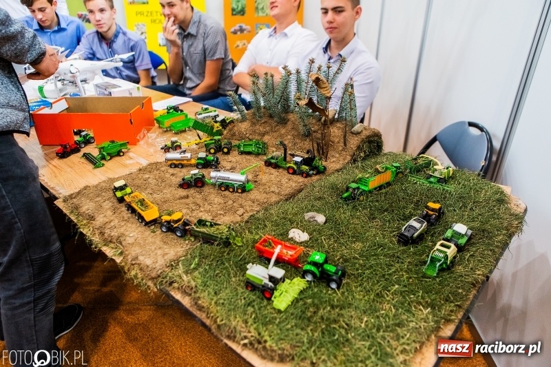 Zdjęcie w galerii na portalu naszraciborz.pl: Raciborski Festiwal Perspektyw. Arena Rafako pełna młodzieży  wiadomości z regionu