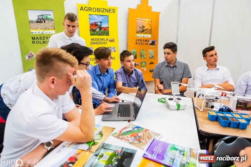 Zdjęcie w galerii na portalu naszraciborz.pl: Raciborski Festiwal Perspektyw. Arena Rafako pełna młodzieży  wiadomości z regionu