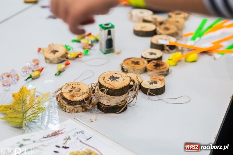 Zdjęcie w galerii na portalu naszraciborz.pl: Raciborski Festiwal Perspektyw. Arena Rafako pełna młodzieży  wiadomości z regionu